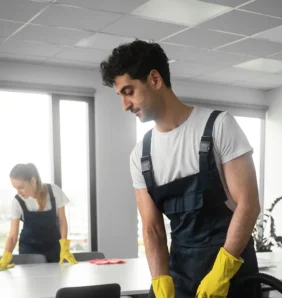 compressed_sv-image5