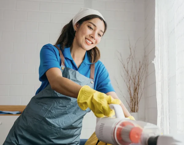 compressed_sv-image7